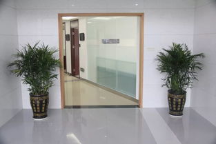 中深裝集團(tuán)精品工程丨深圳市政府采購(gòu)中心集中采購(gòu)平臺(tái)裝飾工程