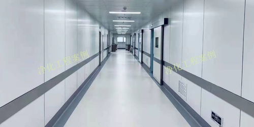 西北食品廠無(wú)塵室裝飾設(shè)計(jì)的核心要點(diǎn)與實(shí)踐